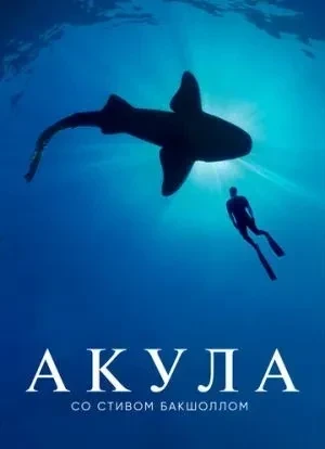 Акула со Стивом Бакшоллом 1 сезон