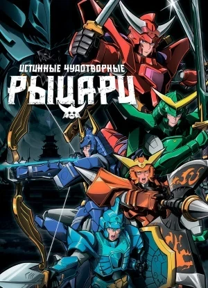 Истинные чудотворные рыцари 1 сезон 2026
